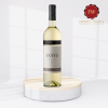 Rượu vang trắng Chile San V Geiser Tatio Sauvignon Blanc Reserve 