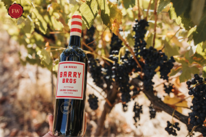 Rượu vang Barry Bros Shiraz Cabernet