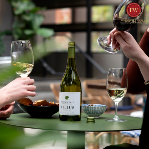 Rượu vang Vasse Felix Filius Chardonnay - Vang Úc hảo hạng