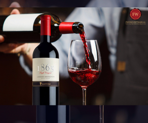 Rượu vang 1865 Cabernet Sauvignon - Vang Chile cao cấp